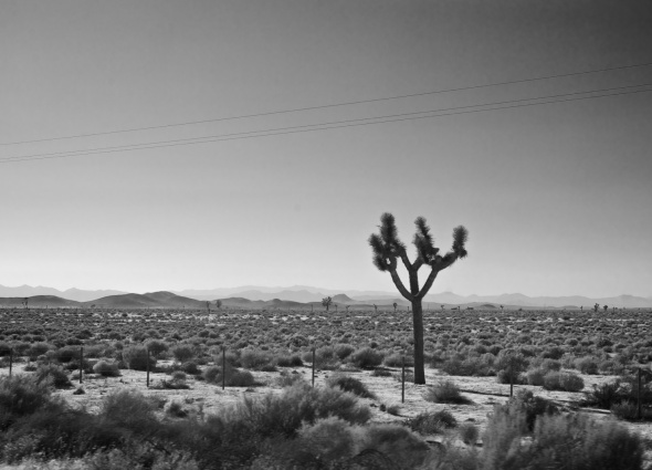 Joe Sterne Photography, California, roadtrip, c2c12, black and white, mojave